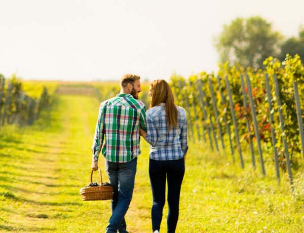 Dalyellup Beach, Dalyellup young couple walking through a winery