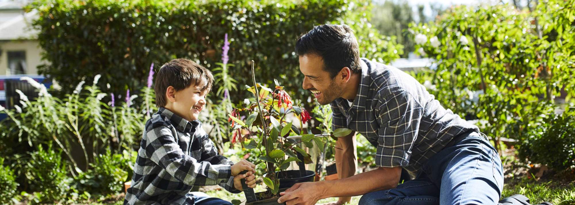 Botanical, Mickleham young father and son sitting in veggie garden.