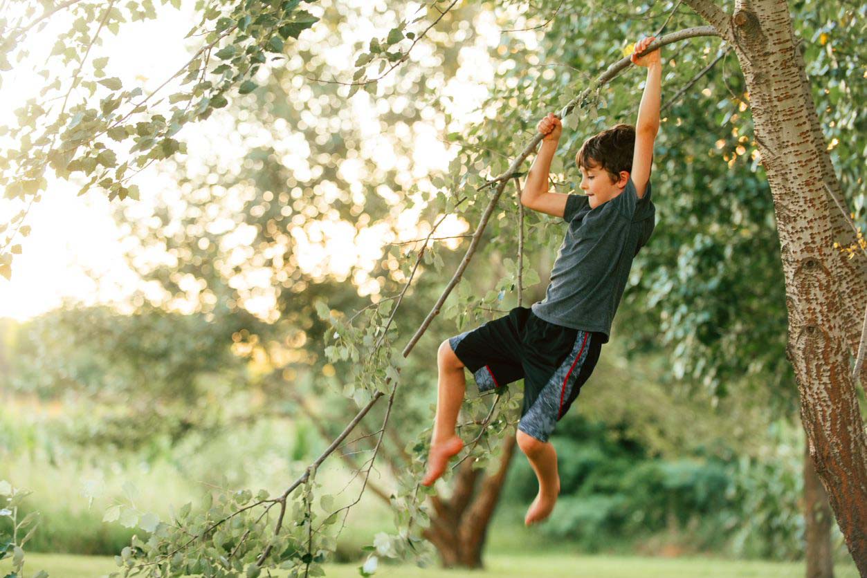 Young child swinging off tree branch